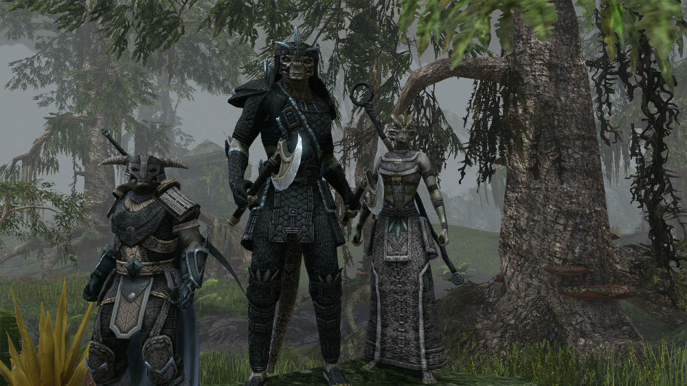 The Elder Scrolls Online ma dziś światową premierę!