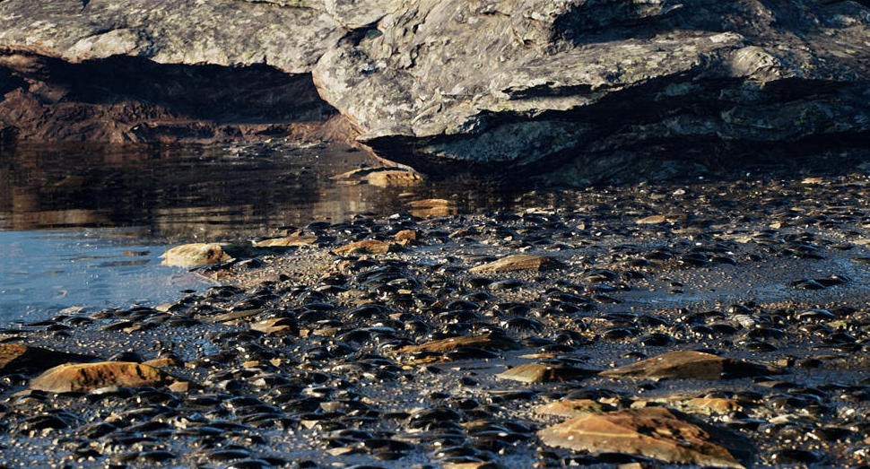 To nie zdjęcia! Bardzo realistyczne sceny przygotowane na podstawie Unreal Engine 4