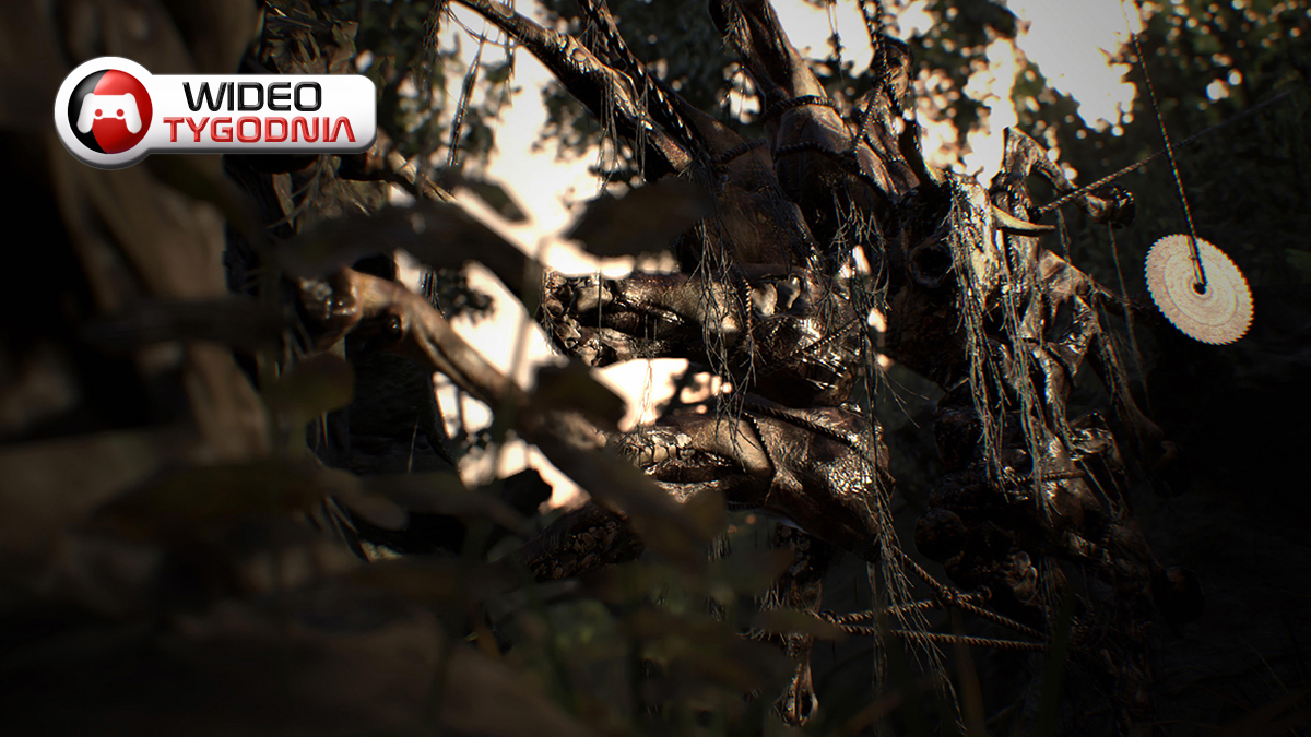 TOP 5 najlepszych filmików tygodnia [#58]