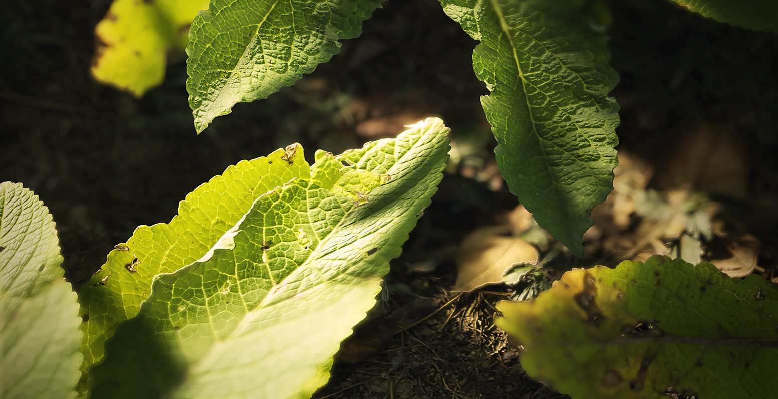Tak, te screeny zostały wykonane w programie do tworzenia gier
