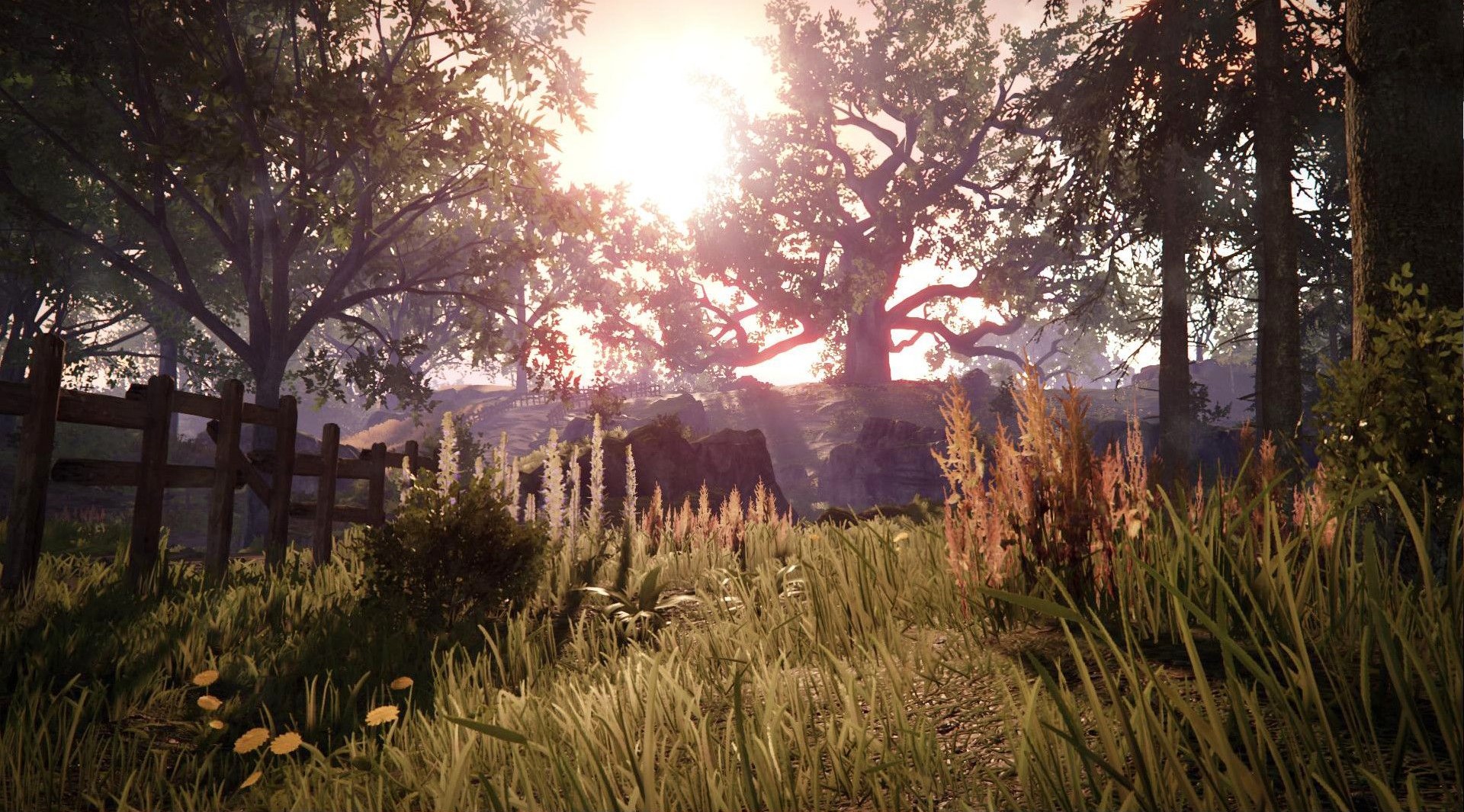 Zaskakujące informacje o nowej grze w świecie Warhammera