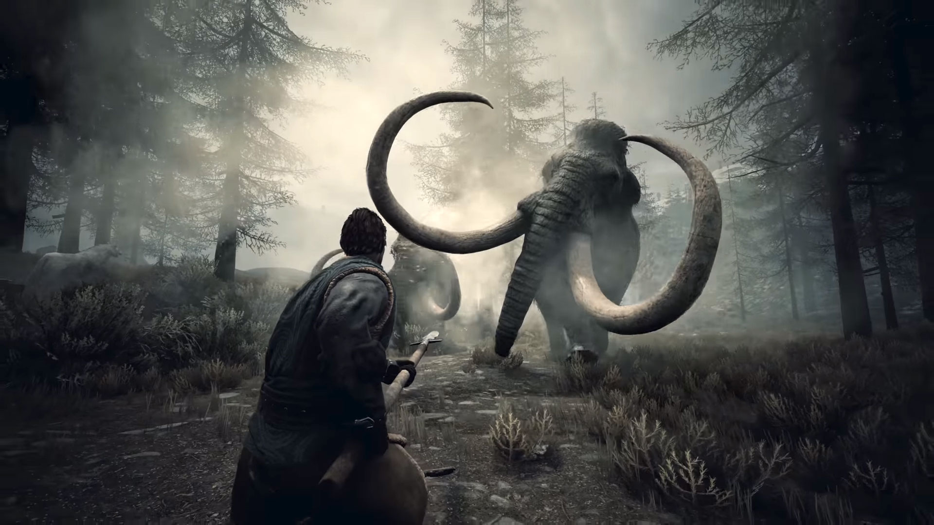 Lubicie survival? Ta gra powinna Was zainteresować. Data premiery, cena i nowy trailer