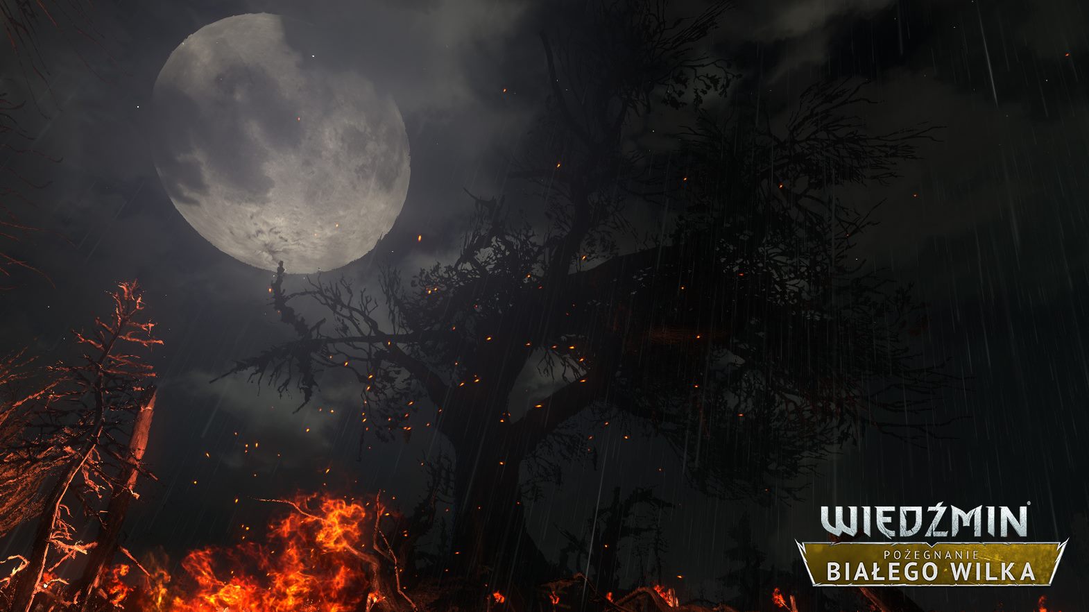 Fani Wiedźmina, wkrótce pierwszy gameplay z nowej przygody!