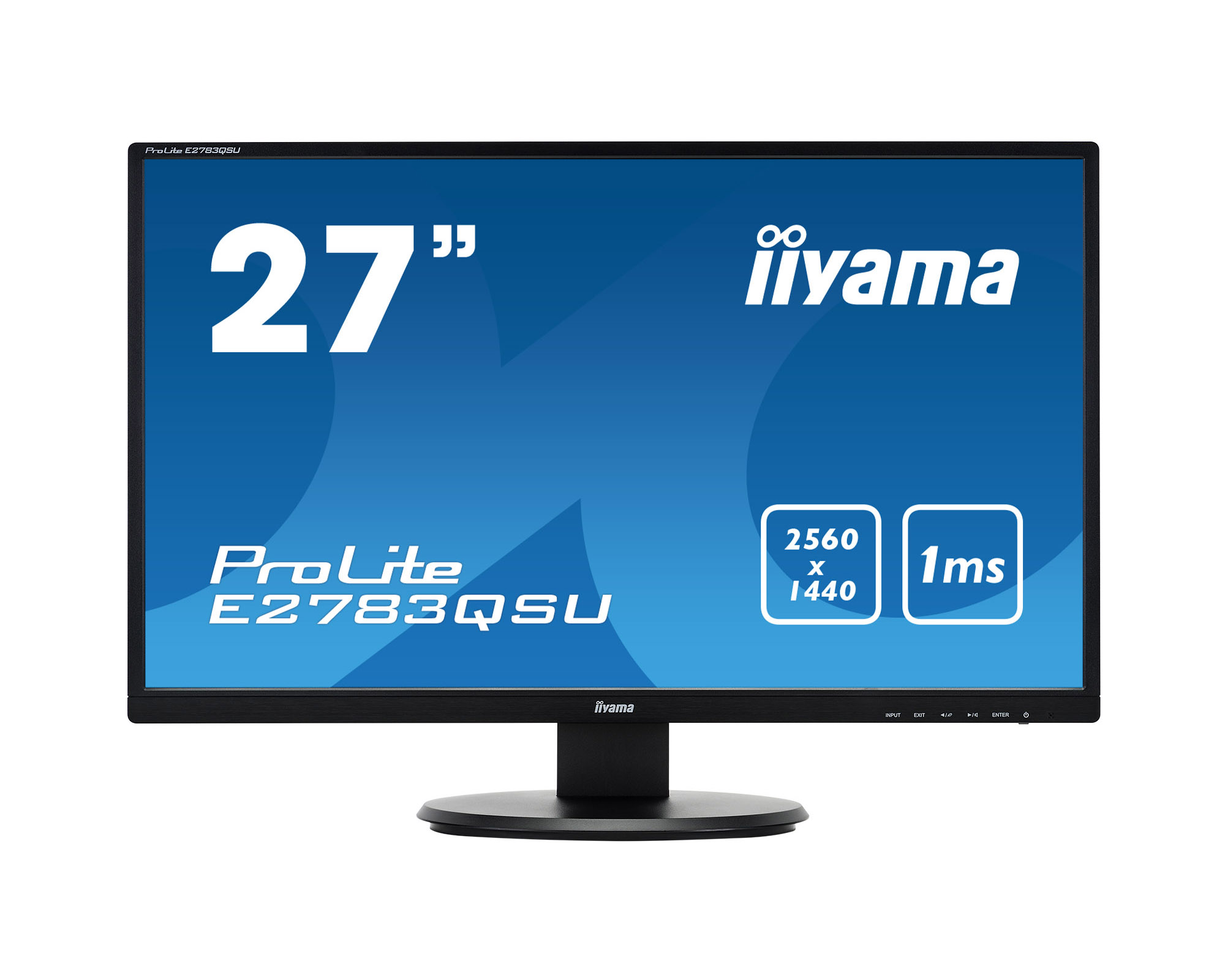 Uniwersalny monitor iiyama w przystępnej cenie