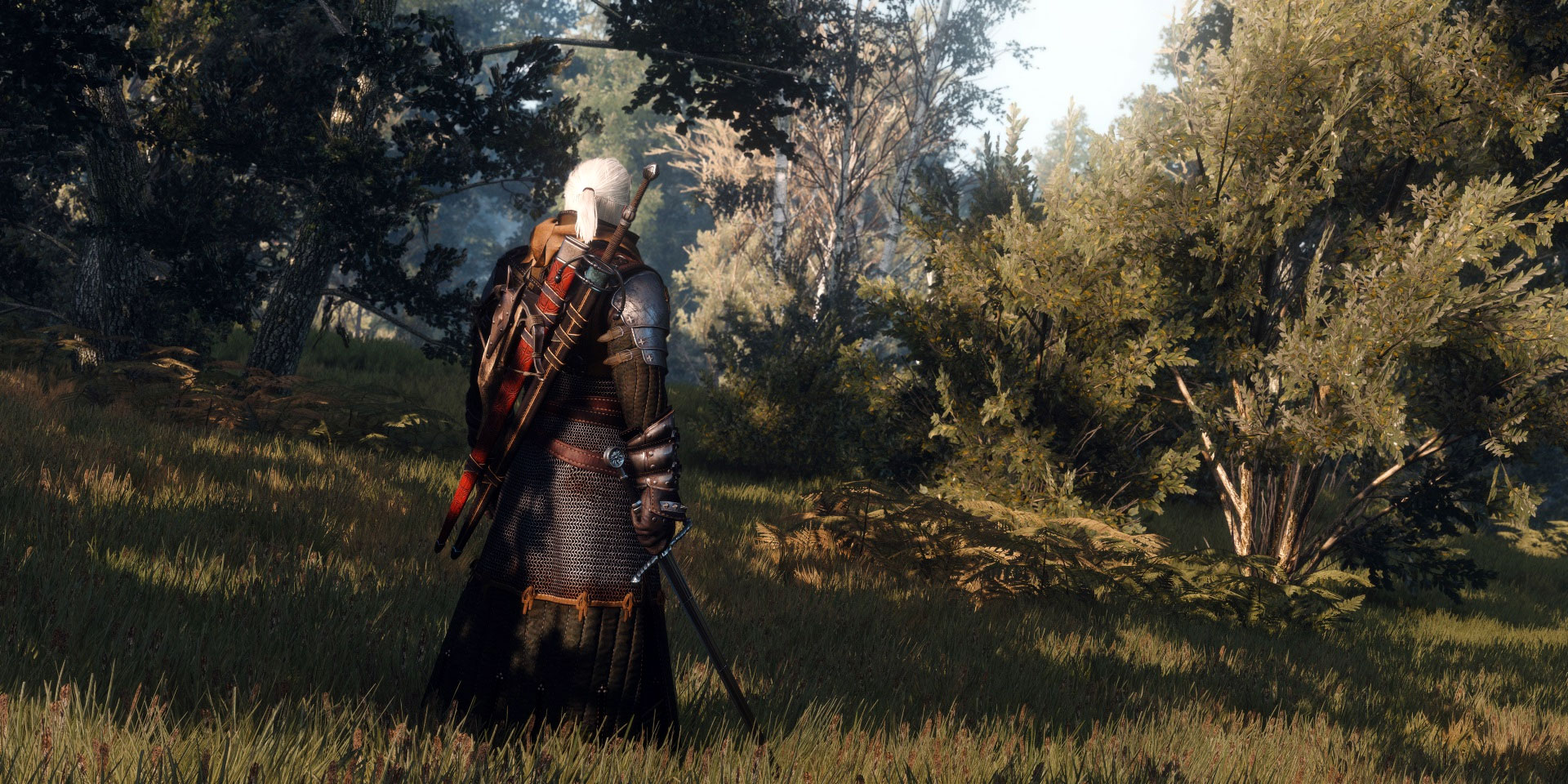 Wiedźmin 3 otrzyma jeszcze więcej szczegółów