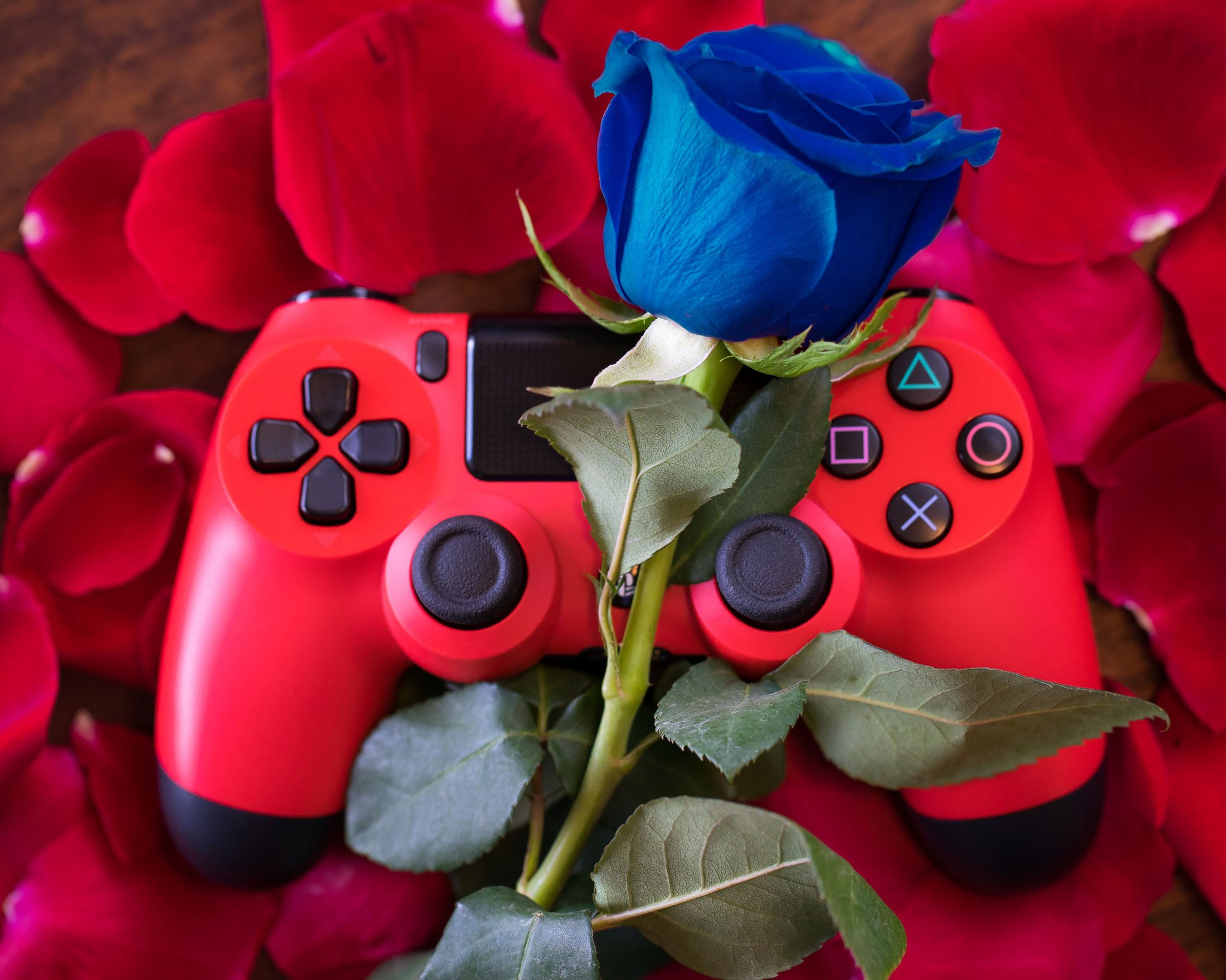 Fani PlayStation są najbardziej lojalni. Wyniki ankiety