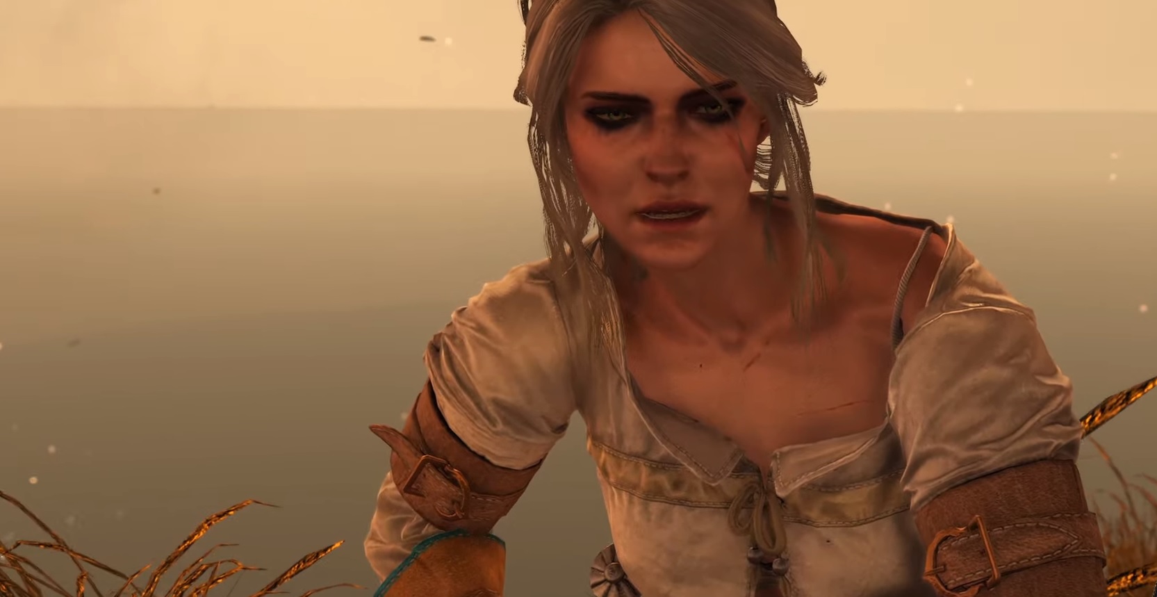 Dodatek do Wiedźmina na nowym gameplayu – lada chwila premiera