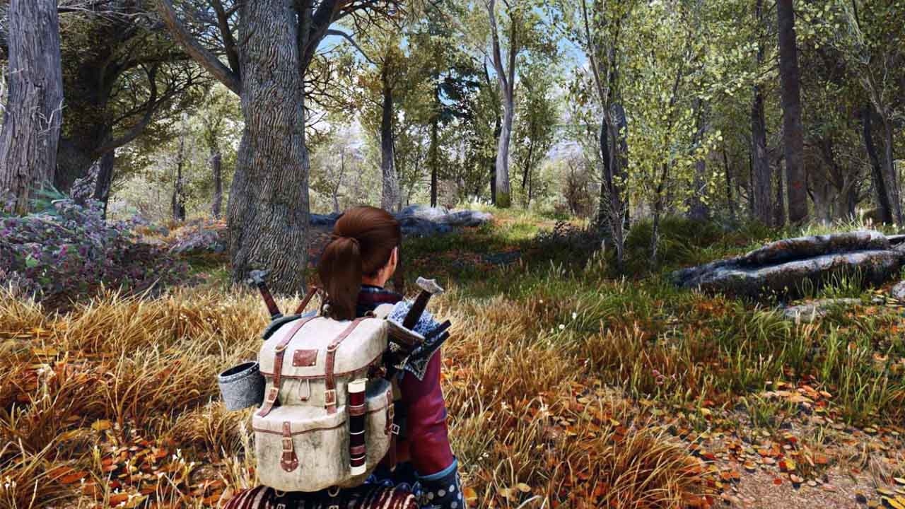 Skyrim - zrzut ekranu ze zmodowanej gry