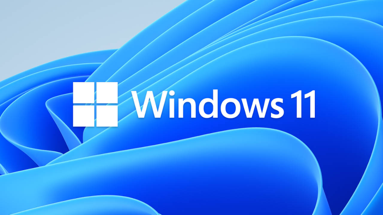 Windows 11 logo