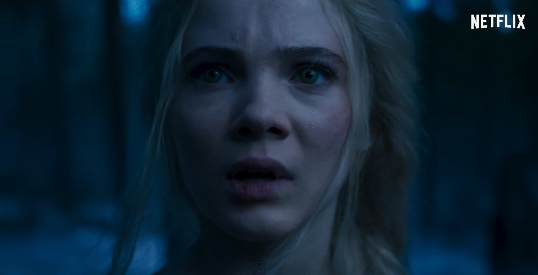 Wiedźmin - Bagiński zwala winę za spadek popularności na widzów