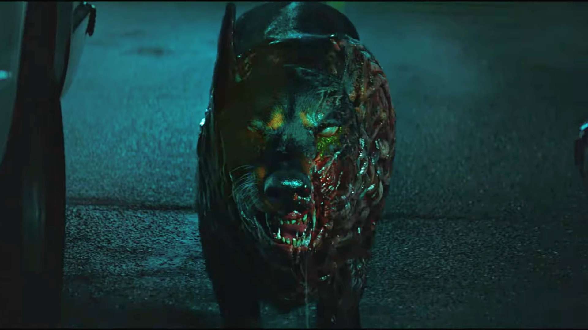 resident evil welcome to raccoon city