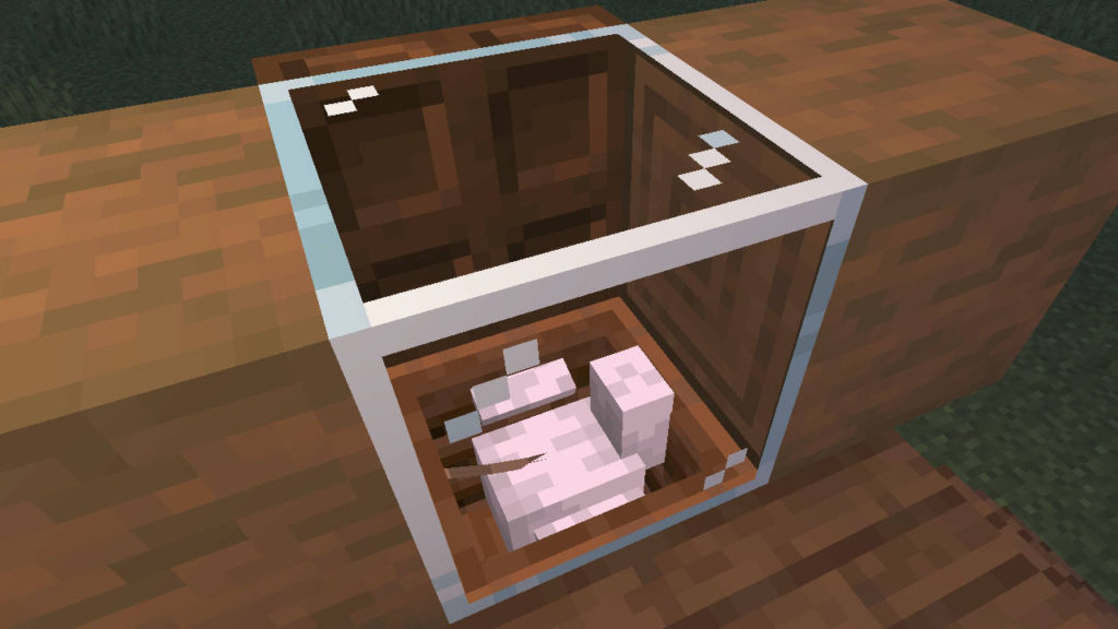 kura zawieszona na linie