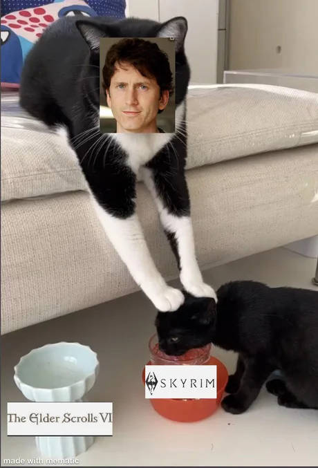 mem - the elder scrolls v skyrim todd howard