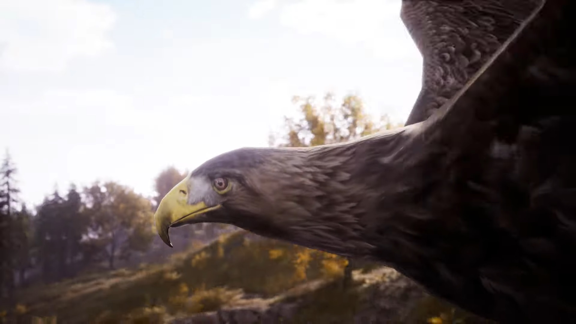 Medieval Dynasty ptaszek