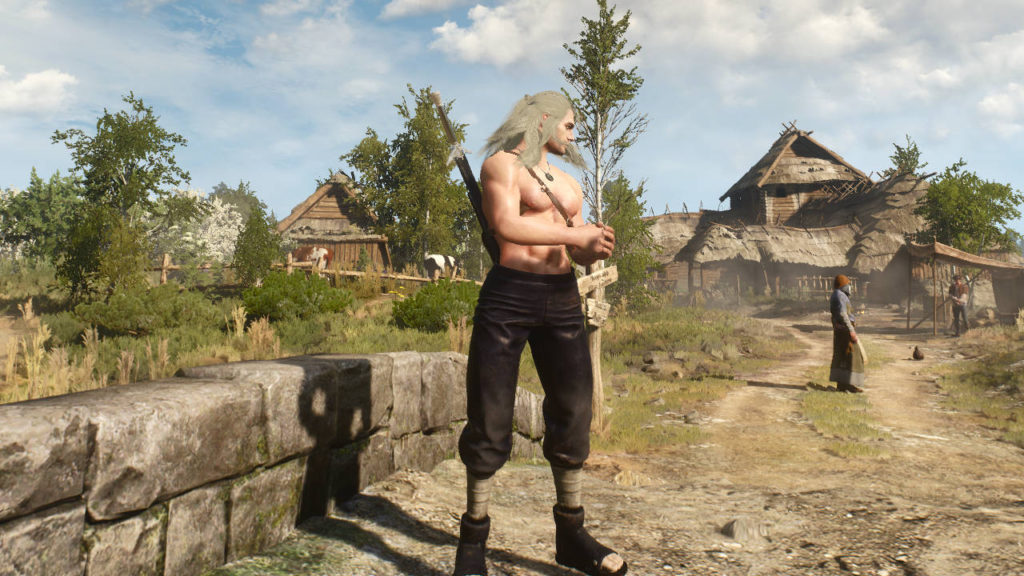 Wiedźmin 3 Dziki Gon - mod - Season 1 Netflix Set Final Royal Ultimate Version