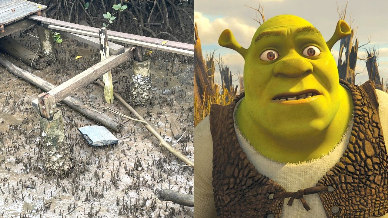 PS3 w bagnie / Shrek