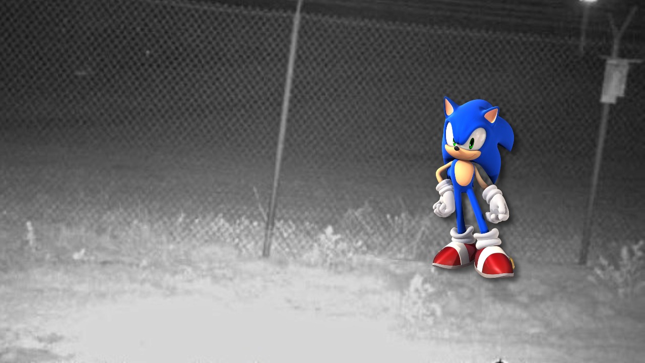 Sonic zarejestrowany na nocnej kamerze? Dziwna istota na zdjęciu
