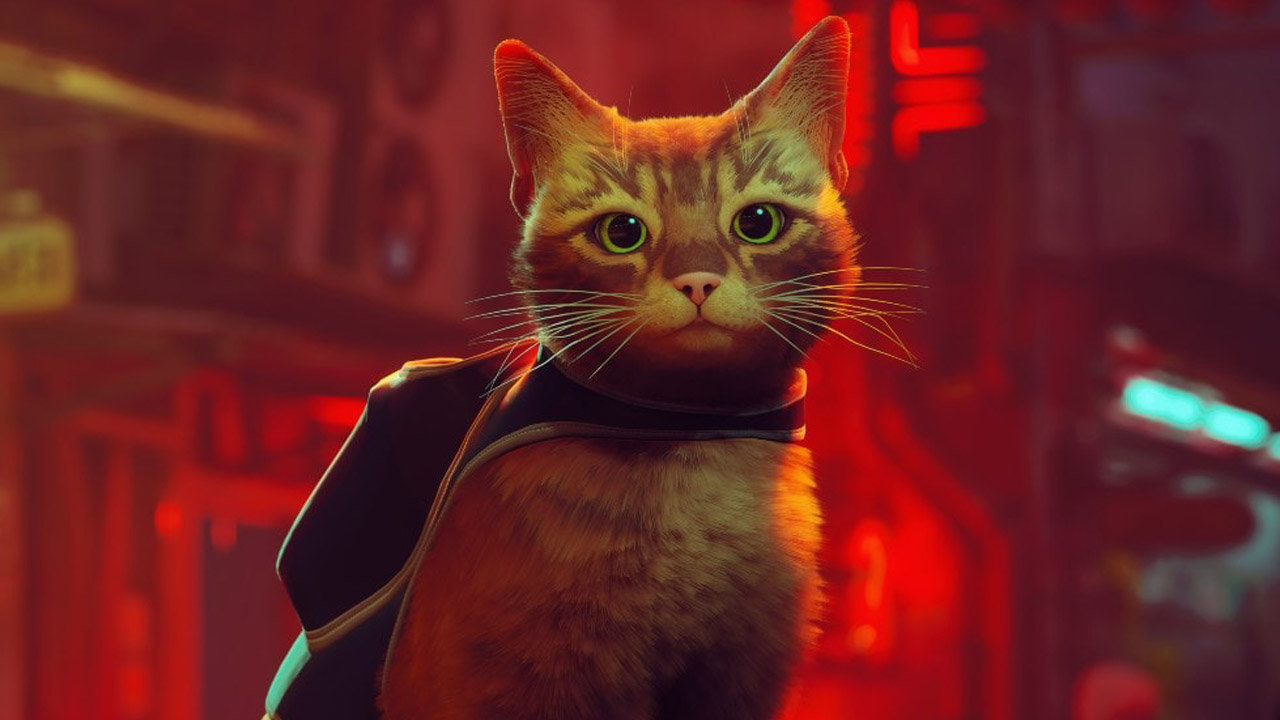 Pudełkowe wydanie Stray na PS4/PS5 do kupienia taniej