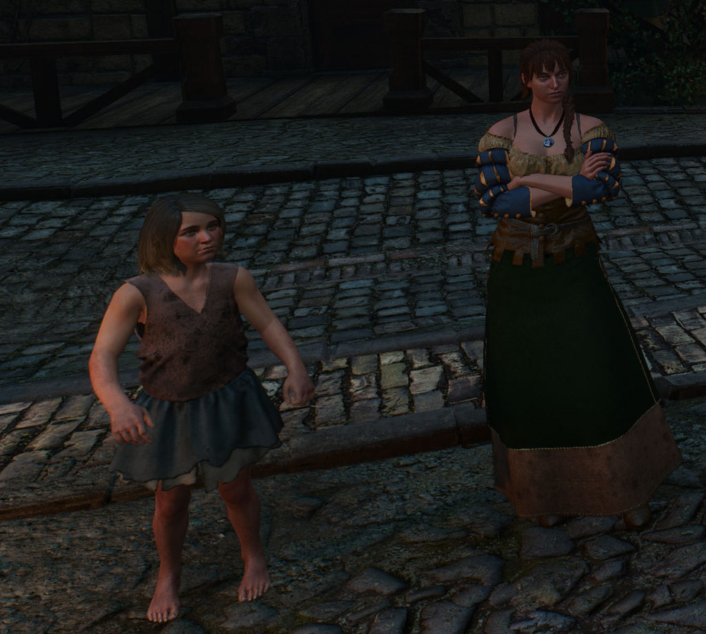 Po instalacji moda do Wiedźmina 3