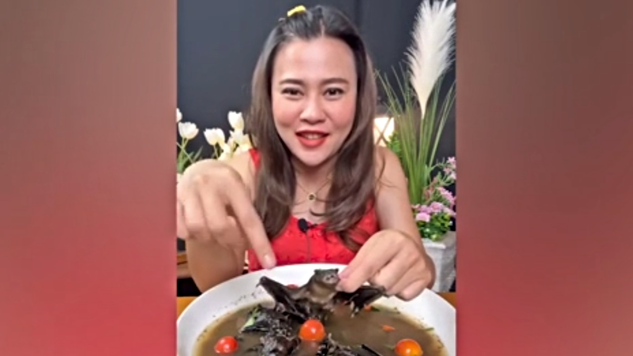 YouTuberka zjadła nietoperza i teraz grozi jej 5 lat więzienia