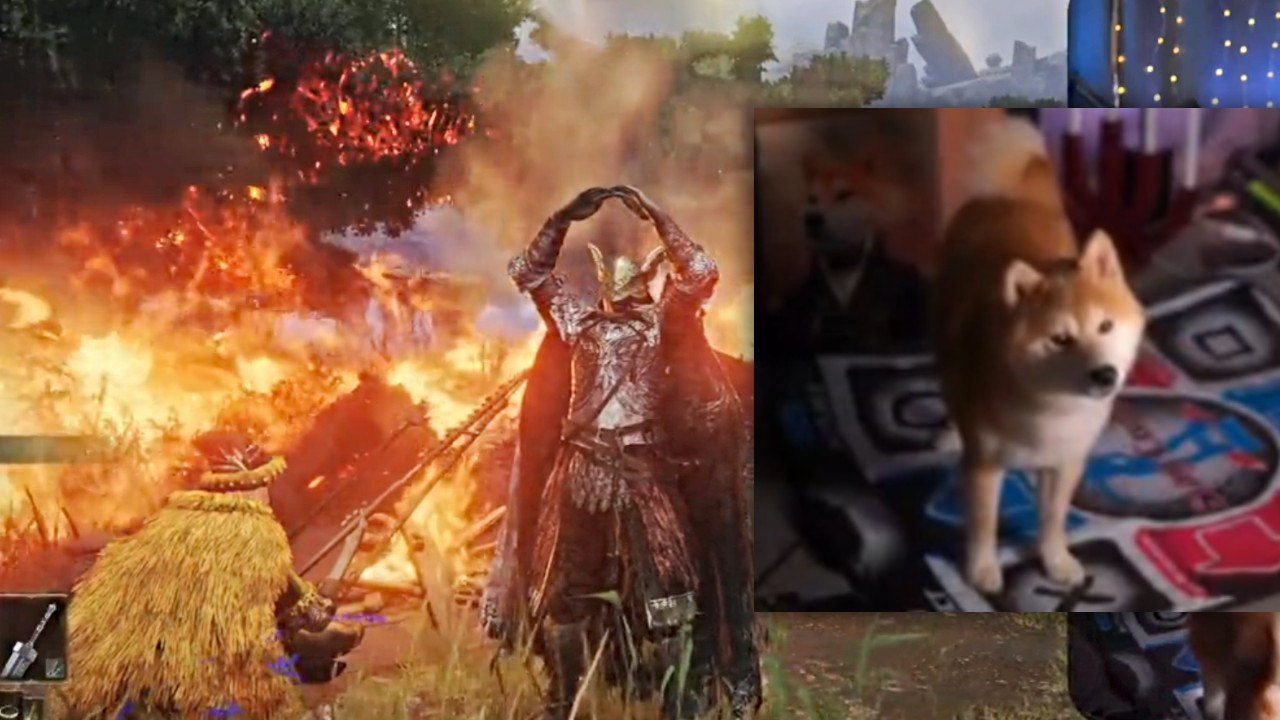 Elden Ring - pies streamerki gra lepiej niż niejeden z nas