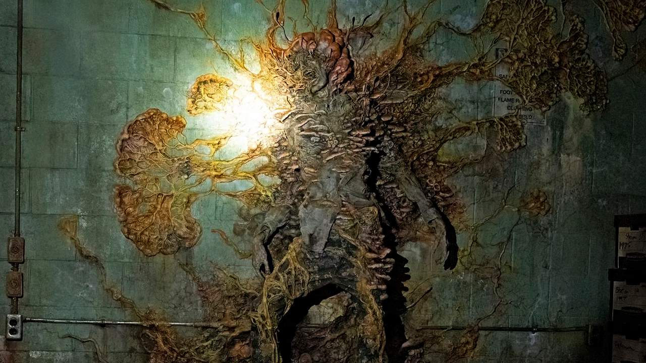 Fani The Last of Us przerażeni. Firma wycofuje skażoną mąkę ze sklepów