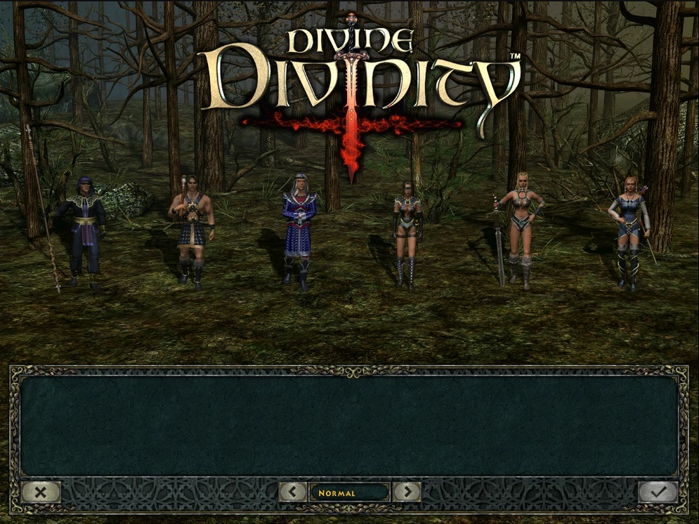 Divine Divinity Postacie