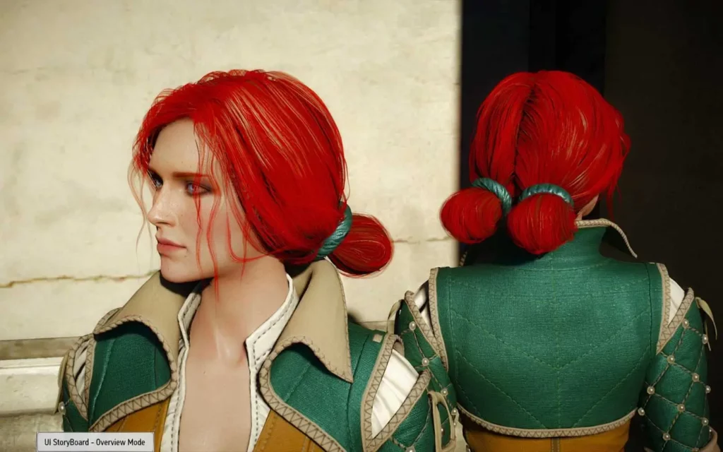 Wiedźmin 3 - po instalacji moda