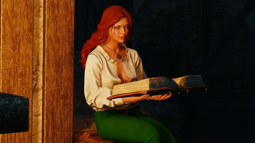 Wiedźmin 3 mod Dynamic Appearances Project