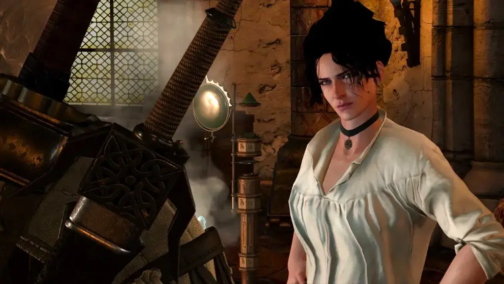 Wiedźmin 3 mod Dynamic Appearances Project