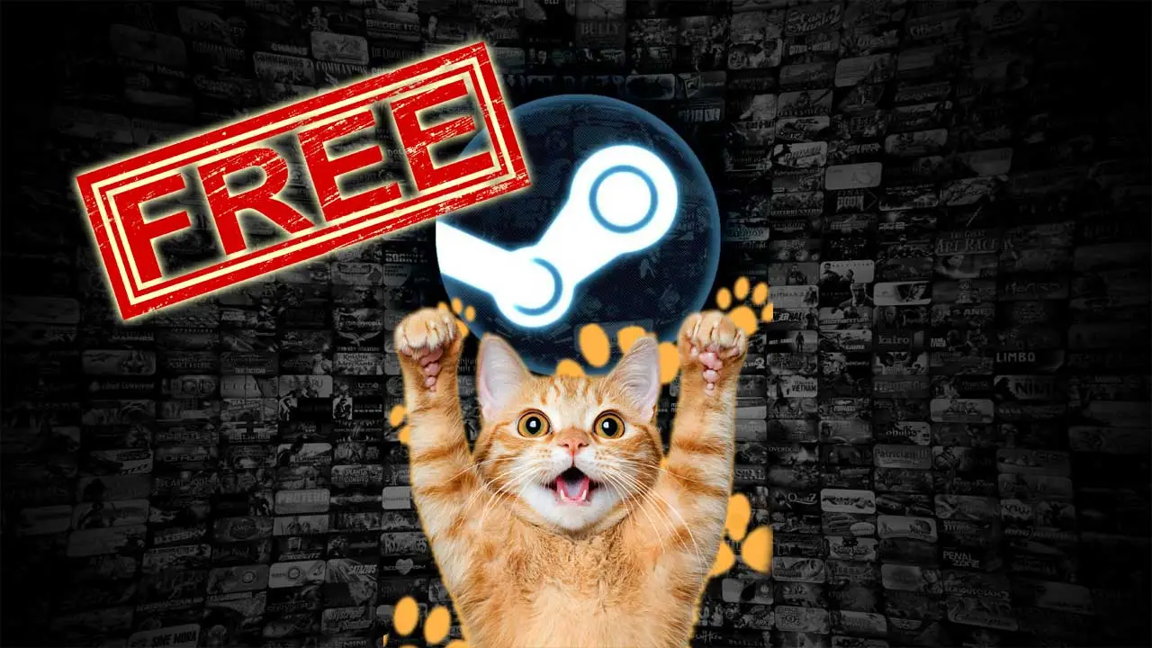 Kocie premiery na Steam. 2 gry za darmo do zgarnięcia | Newsy - PlanetaGracza