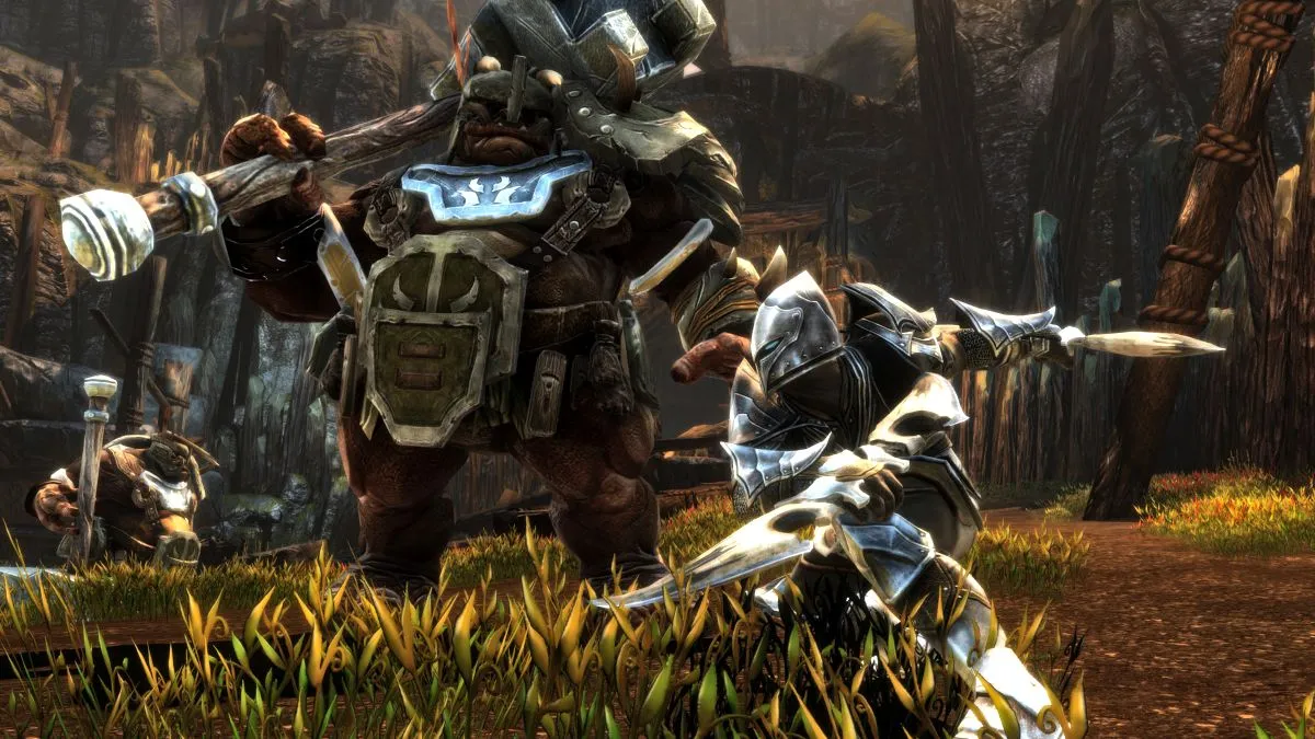 Kingdoms of Amalur: Re-Reckoning to genialne RPG i to za bezcen